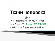 Презентация по биологии на тему Ткани Человека (8 класс)