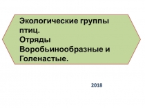 Презентация по биологии на тему Экологические группы птиц. Отряды птиц: Отряды Воробьинообразные и Голенастые. (7 класс)