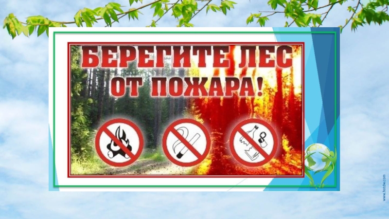 ПРЕЗЕНТАЦИЯ К КЛАССНОМУ ЧАСУ 1 КЛАСС НА ТЕМУ ПРИРОДА И МЫ