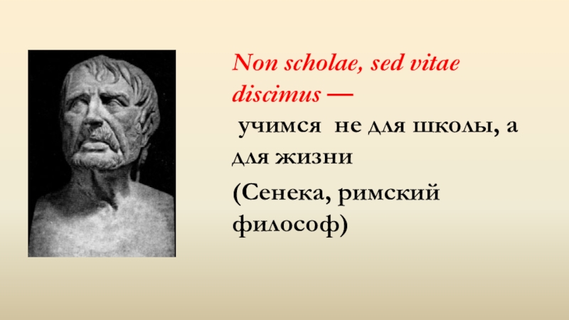 Non scholae. Не для школы а для жизни мы Учимся Сенека. Non Scholae sed vitae discimus. Сенека учит..