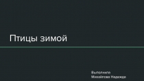Презентация по внеурочному занятию Птицы зимой (2 класс)