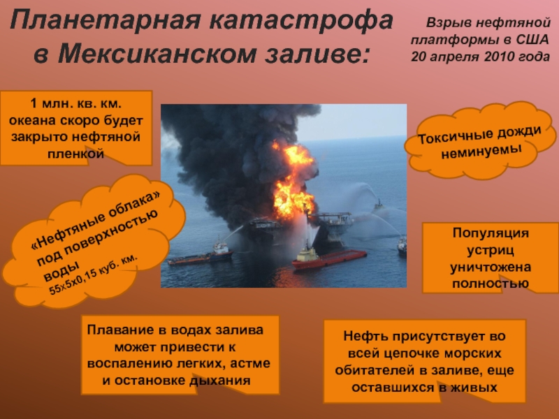 Дайте характеристику экологической катастрофы по выбору по плану факторы влияния причины последствия