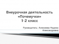 Презентация. Внеурочная деятельность Почемучки, 1,2 класс