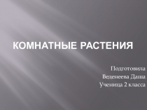 Презентация по окружающеу мируКомнатные растения