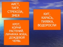 Презентация по биологии на тему Среды обитания организмов (5 класс)