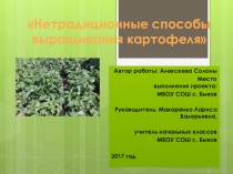 Презентация к исследовательской работе Нетрадиционные методы выращивания картофеля