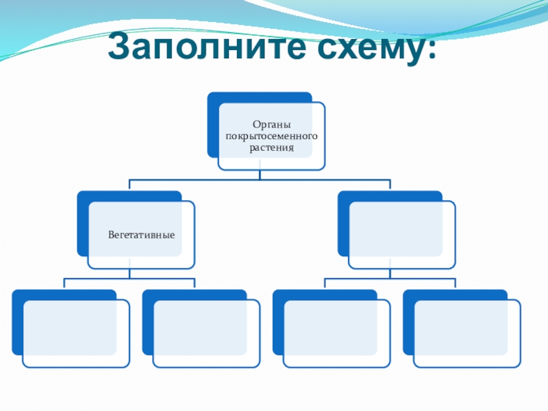 Заполни схему семя