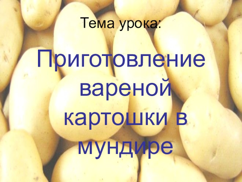 Сколько калорий в сваренной картошка в мундире без соли