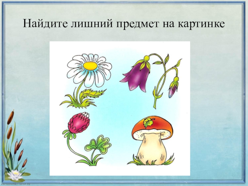 Изо 1 класс презентации цветы. Мир полон украшений изо 1 класс. Мир полон украшений изо 1 класс презентация. Мир полон украшений цветы изо 1 класс. Рисунок по теме мир полон украшений.