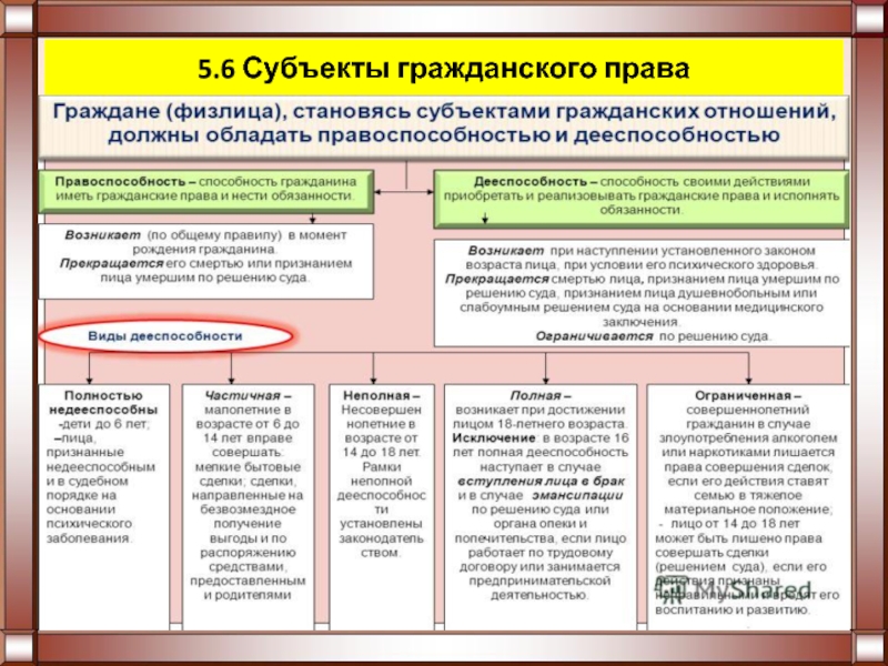 План по обществознанию егэ правоотношения