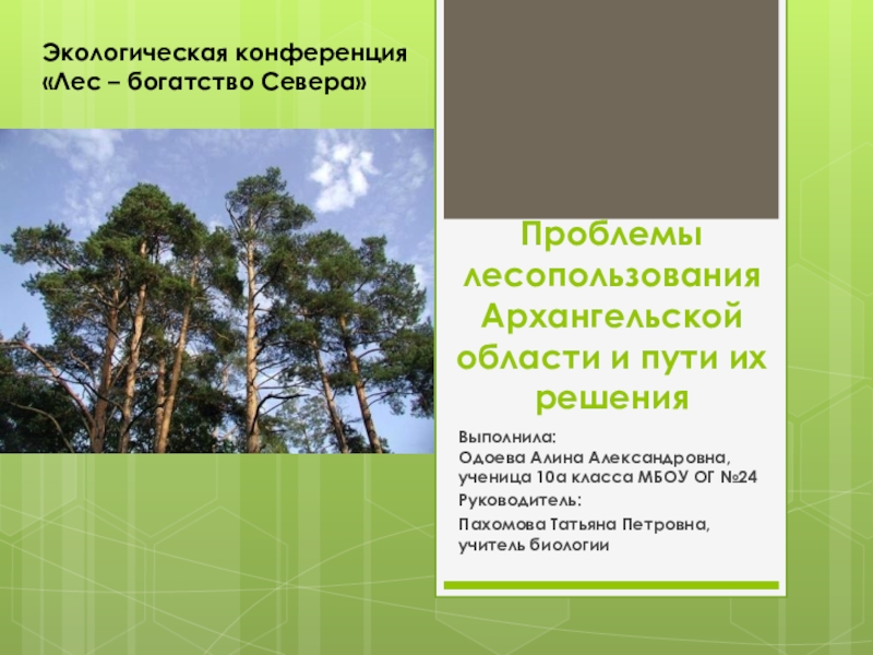 Презентация Проблемы лесопользования Архангельской области и пути их решения