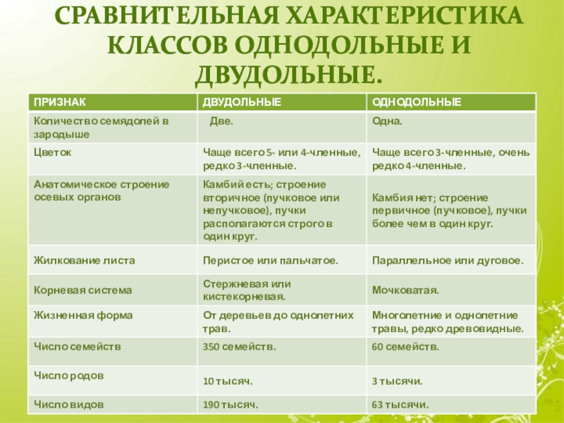 Темы для проекта по биологии 7 класс список