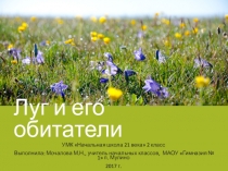 Презентация по окружающему миру на тему Луг и его обитатели УМК Начальная школа 21 века (2 класс)