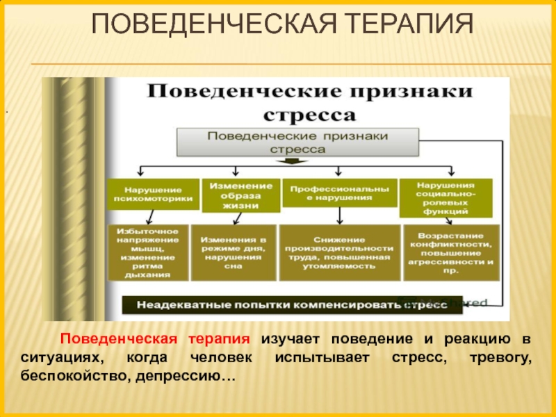 Поведенческий договор образец