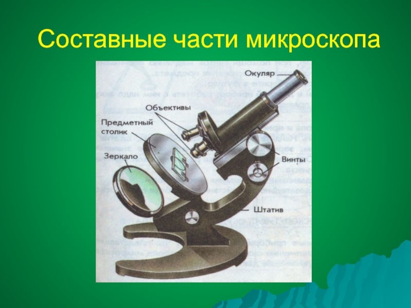 Части микроскопа 5. Составные микроскопа. Основные части микроскопа. Основные части микроскопа и их Назначение. Микроскоп и его составные части.