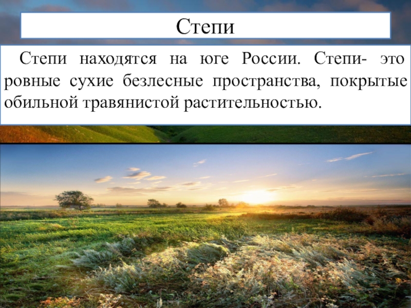 Безлесная травянистая природная зона. Безлесная степь. Описание степи. Степи это Безлесное пространство. Что такое степь определение.