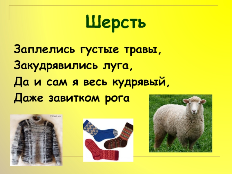 Что из чего сделано презентация 2 класс. Окружающий мир шерсть. Шерсть презентация для детей. Сообщение о шерсти. Загадки про шерсть.