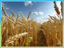 Презентация к уроку математики 1 класс