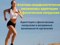 Презентация по анатомии на тему Анатомо-морфологические механизмы адаптации к физическим нагрузкам