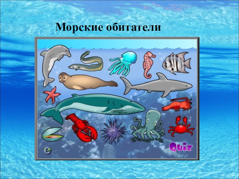 Жители моря презентация