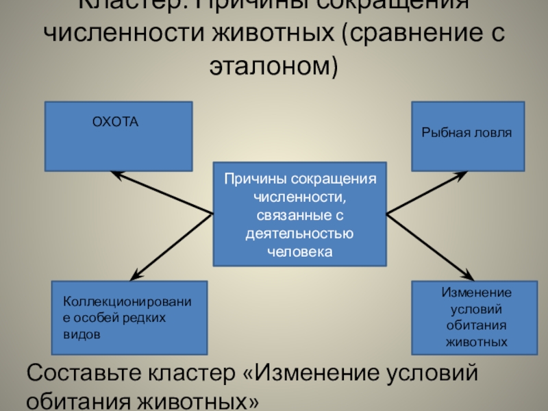 Виды численности. Причины уменьшения численности животных. Причины сокращения численности животных. Причины сокращения численности видов. Основные причины снижения численности видов животных.