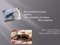 Презентация к исследовательской работе От личинки до жука.Жук-короед