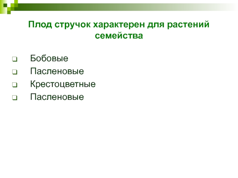 Плод стручок характерен для растений семействаБобовыеПасленовыеКрестоцветныеПасленовые