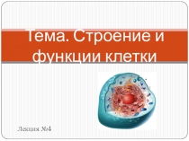Презентация к лекции Строение эукариотической клетки