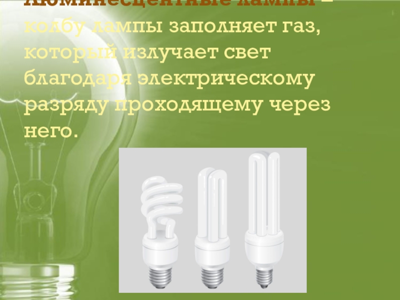 Газ в лампе 7 букв. Каким газом заполняют лампочки. Колбы люминесцентных ламп. Люминесцентные лампы презентация по технологии. ГАЗ которым заполняется лампы.