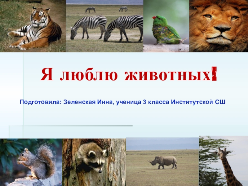 Презентация Презентация по познанию мира на тему Разнообразие животного мира