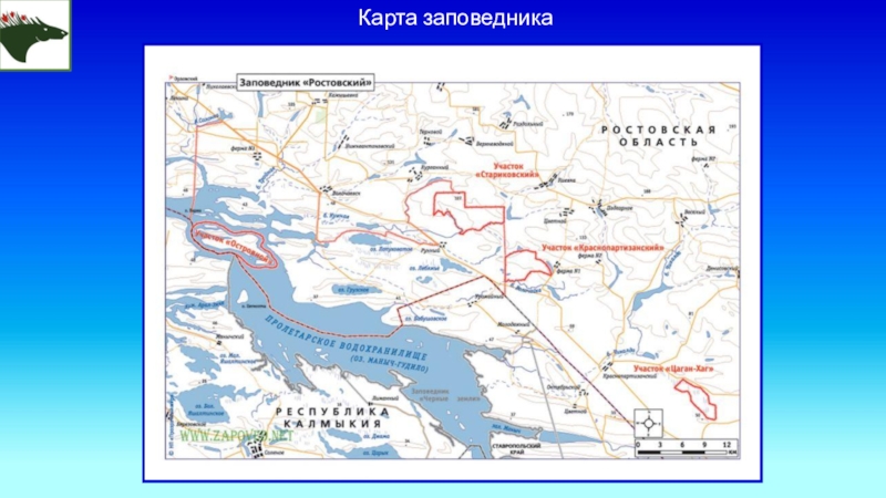 Государственный водный реестр россии официальный сайт карта