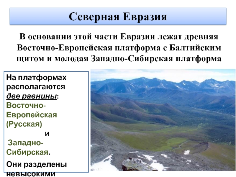 Северная ЕвразияВ основании этой части Евразии лежат древняя Восточно-Европейская платформа с Балтийским щитом и молодая Западно-Сибирская платформаНа