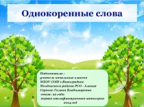 Презентация по русскому языку на тему Однокоренные слова (2 класс)