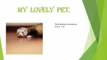 Презентация My pet 3 класс