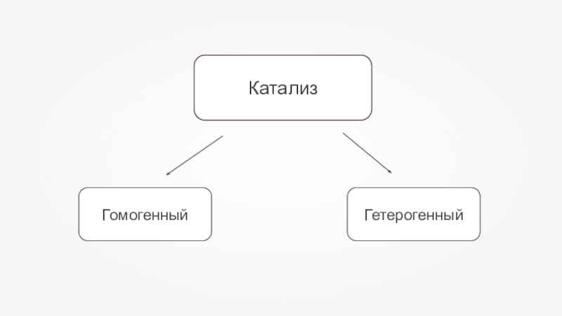 Ооо катализ проект