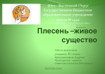 Презентация к исследовательской работе Плесень - живое существо