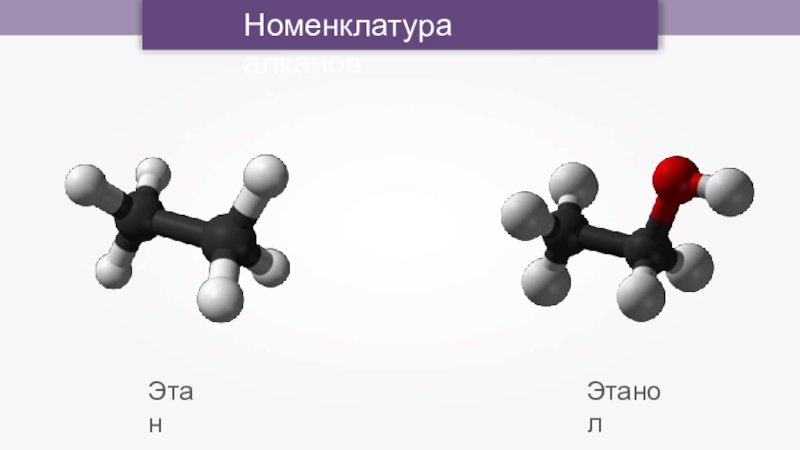 Номенклатура картинки для презентации