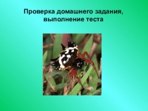 Презентация к уроку Паукообразные - обитатели суши