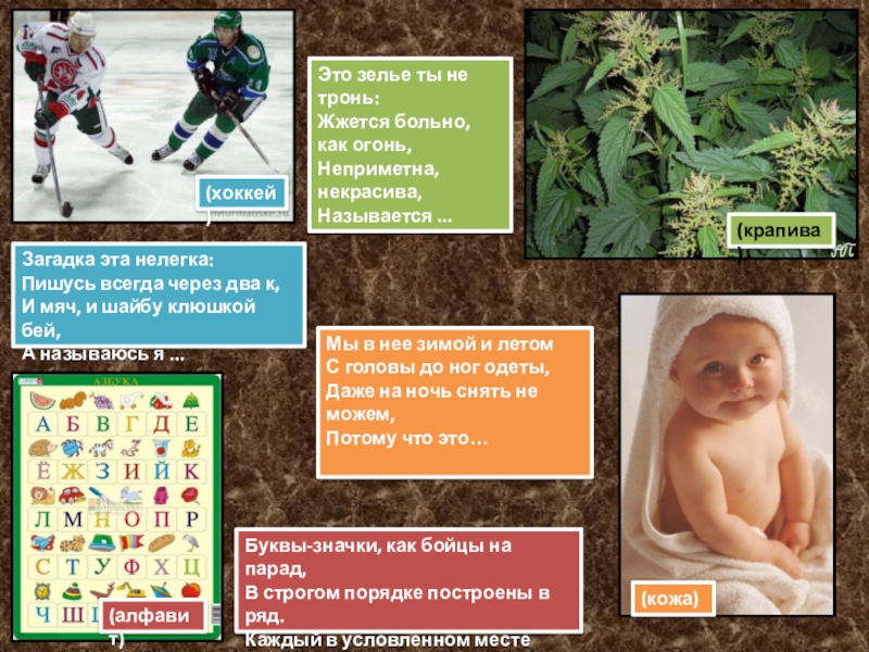 загадка эта нелегка пишусь