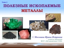 Презентация по природоведению на тему Полезные ископаемые. Металлы