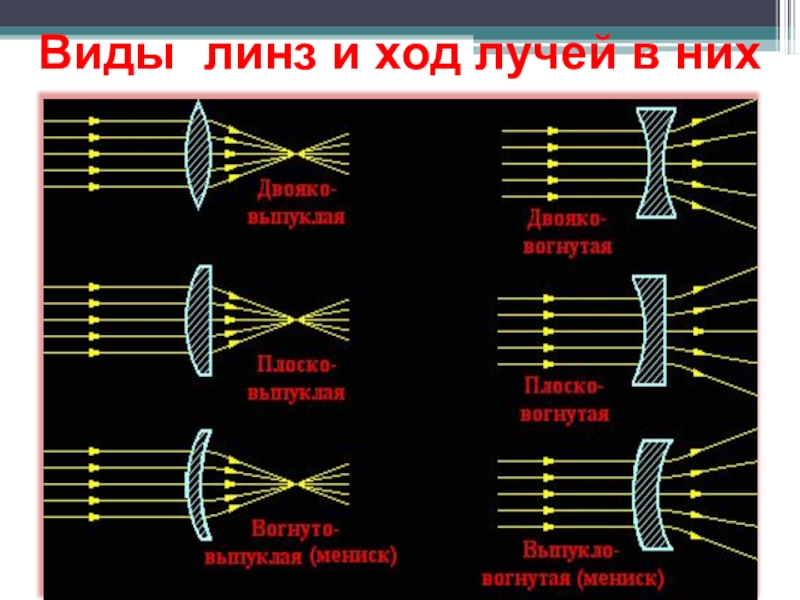 Виды линз с картинками