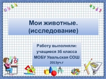 Презентация Наши животные (исследование)