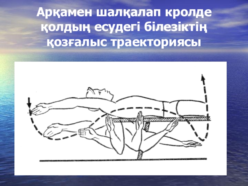 Спорттық физиология презентация