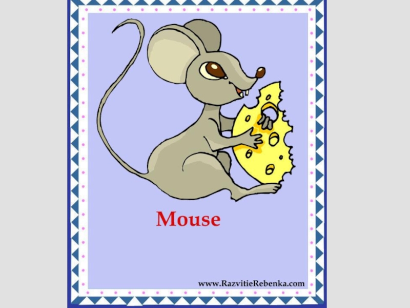 С английского на русский язык mice. Карточки английский язык для детей мыши. Карточки с животными мышь. Животные на английском для детей. Английские карточки для детей мышь.