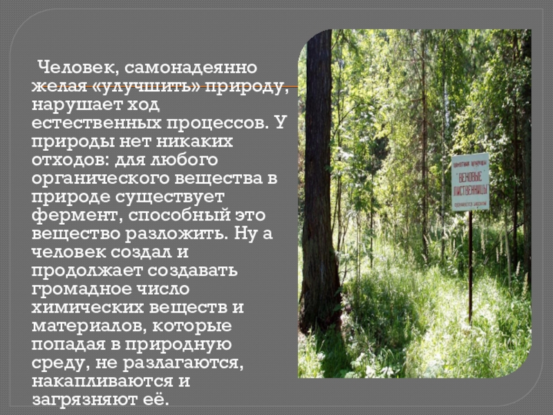 Человек, самонадеянно желая «улучшить» природу, нарушает ход естественных процессов. У природы нет никаких отходов: