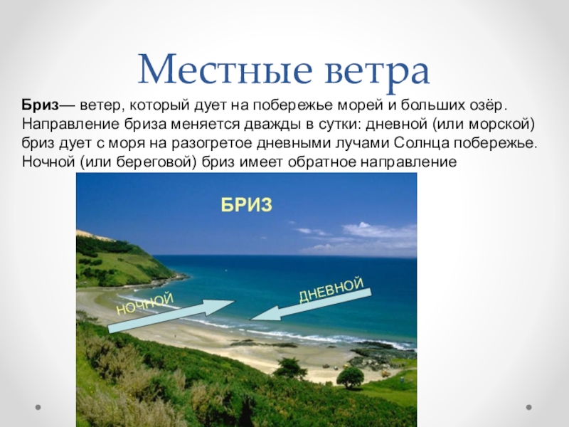 Название местного. Сообщение о местных ветрах. Местные ветры презентация. Презентация на тему климат Крыма. Ветер, который дует на побережье морей и больших озёр..