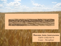 Презентация Поле- природное сообщество