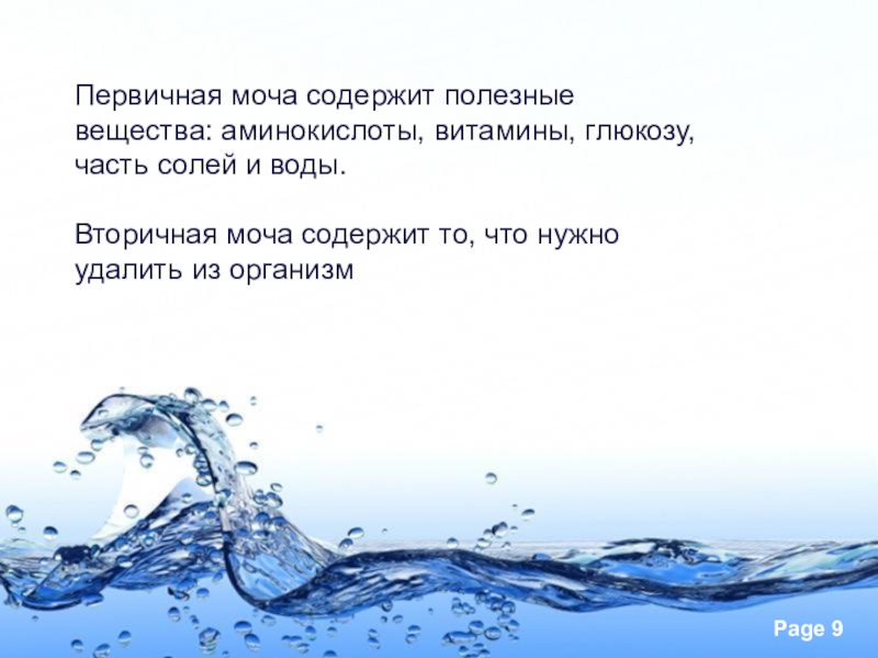 Презентация 8 класс предупреждение заболеваний почек питьевой режим презентация