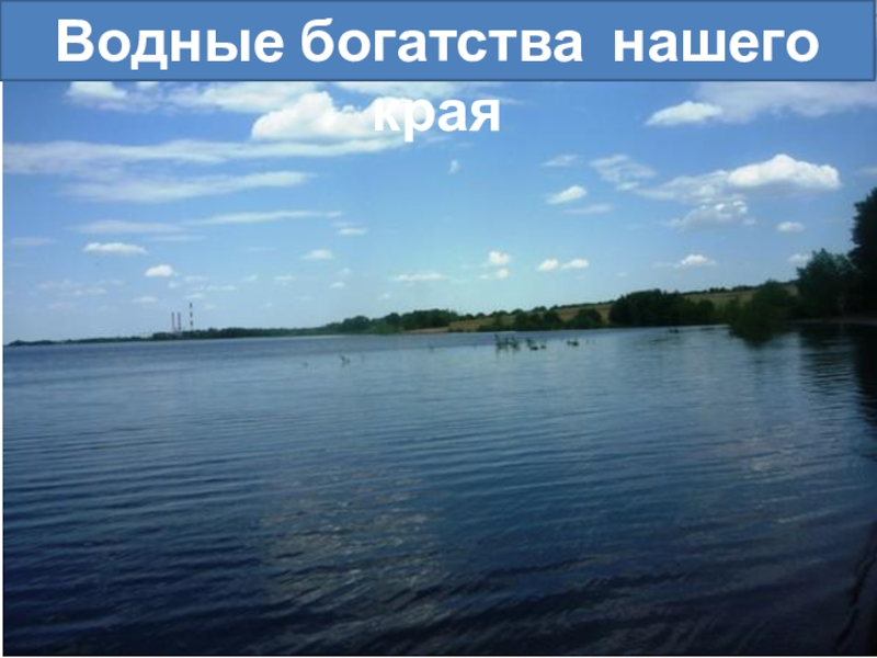 Водоемы нашего края проект