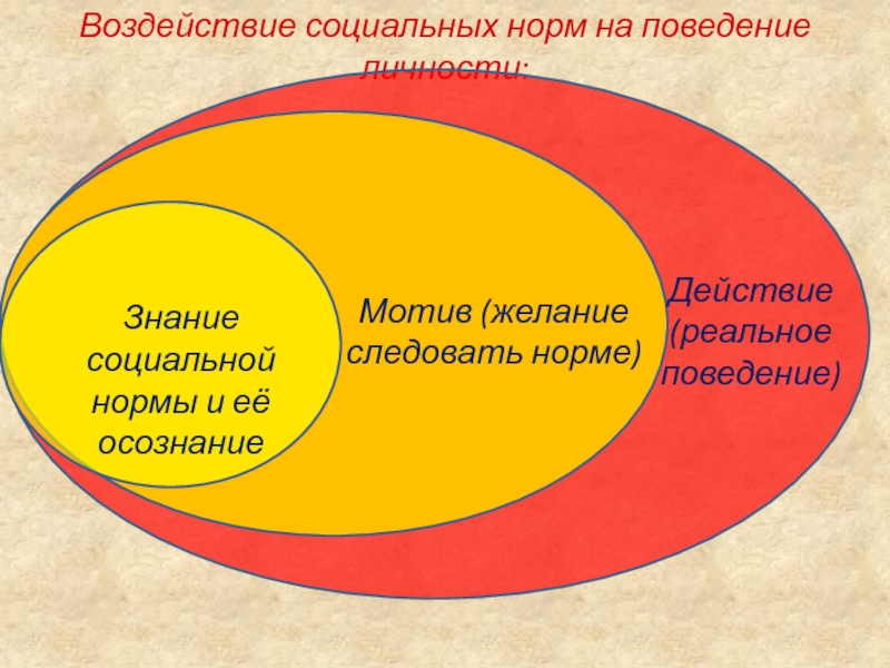 Презентация на тему социальные нормы